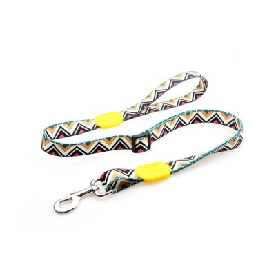 HiDREAM PROFUSION DOG LEASH full color polyester dog leash