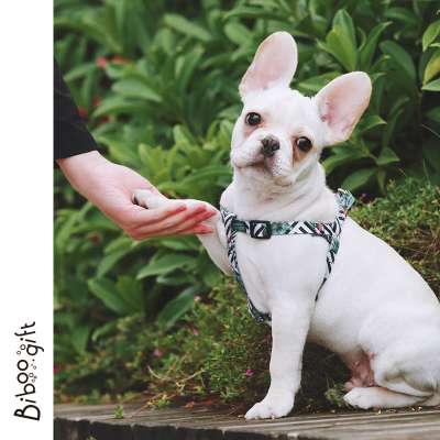 HiDREAM Pet Soft & Comfortable Totem Pattern or Classic Sunrise Dog Harness, Matching Collar & Leash Available Separately